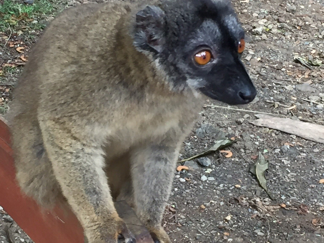 Mayotte Decouverte-Mamoudzou必去景点