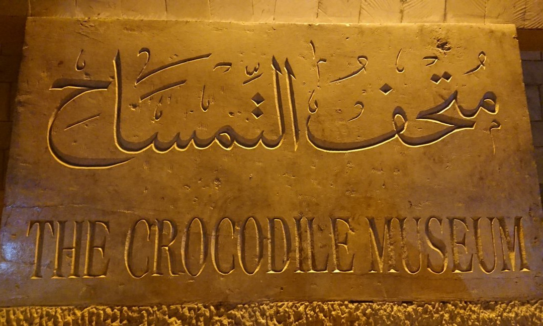 Crocodile Museum景点图片