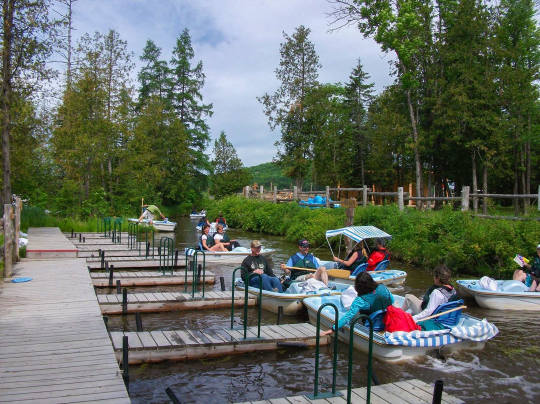 Eco-Odyssee-Wakefield必去景点