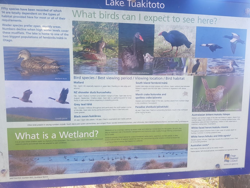 Lake Tuakitoto景点图片