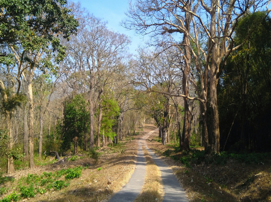 Topslip Tiger Forest景点图片