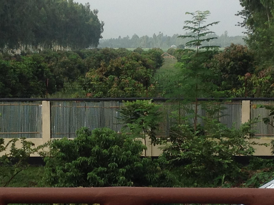 ECO HOMES-郁多罗必去景点