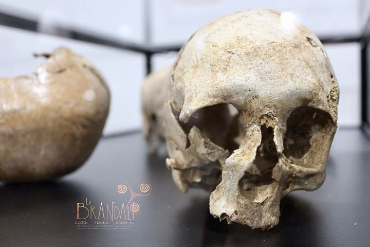 Lu Brandali: Leggi Tocca Ascolta - Mostra di Archeologia Nuragica-圣特雷莎加卢拉必去景点