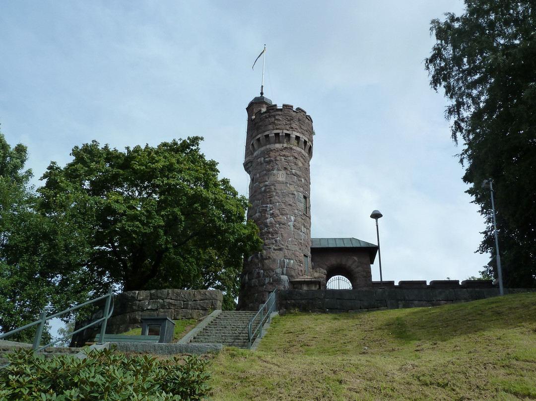 Kvarnbergsparken景点图片