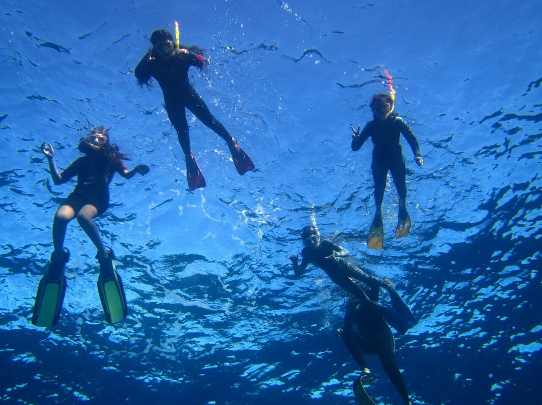 Rapa Nui Dive Center-安加罗阿必去景点
