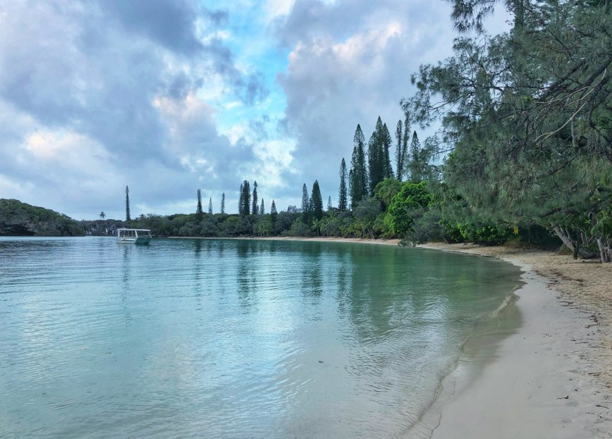 Gite NATAIWATCH主图