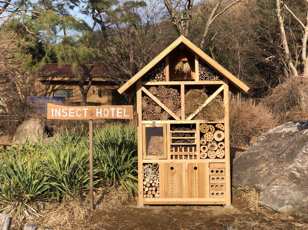 Seowoon Park-抱川市必去景点