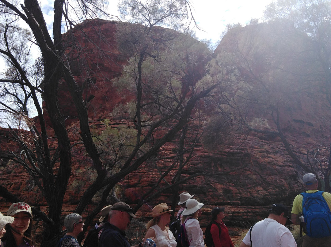Watarrka National Park景点图片