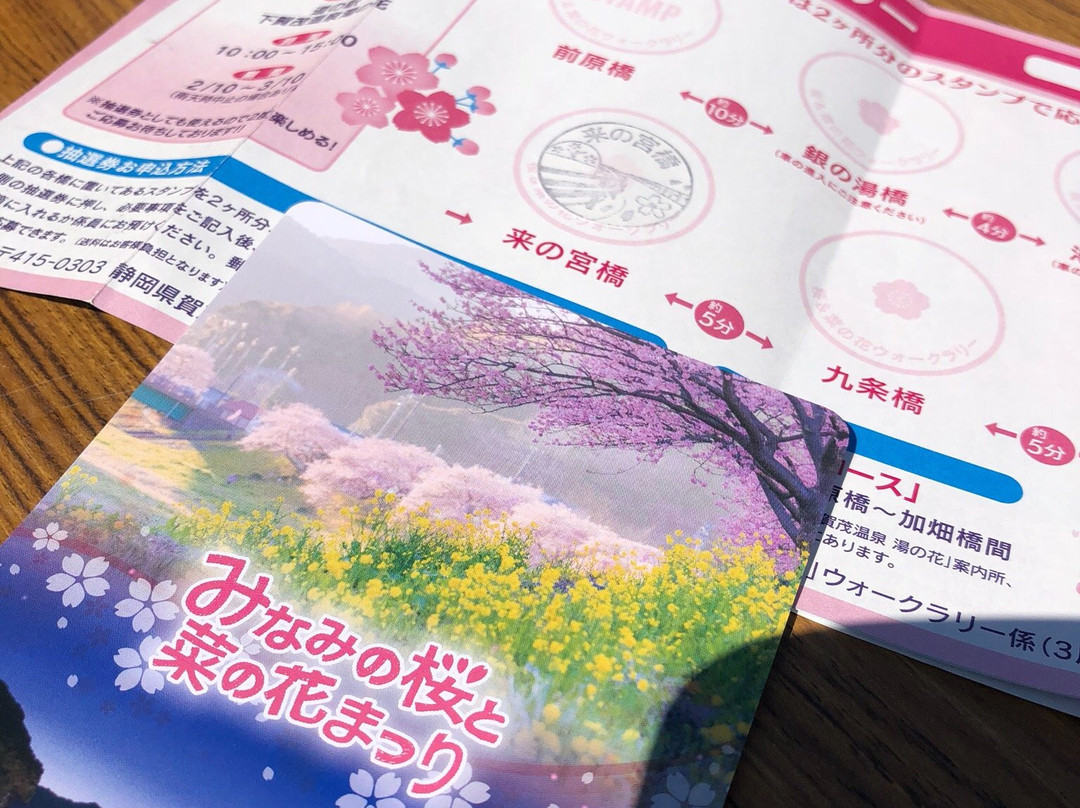 Minamino Cherry Blossom and Nanohana Festival景点图片