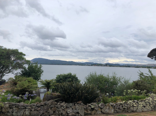 黑天鹅湖景精品酒店主图