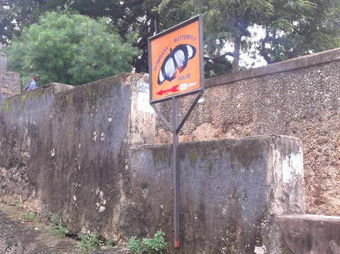 Mombasa Butterfly House-蒙巴萨必去景点