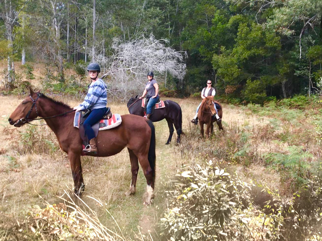 Valery Trails & Horse Riding Centre景点图片