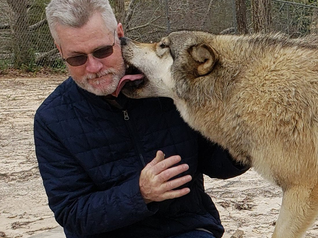 Seacrest Wolf Preserve景点图片