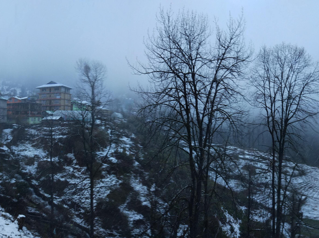 Lachen Paradise主图