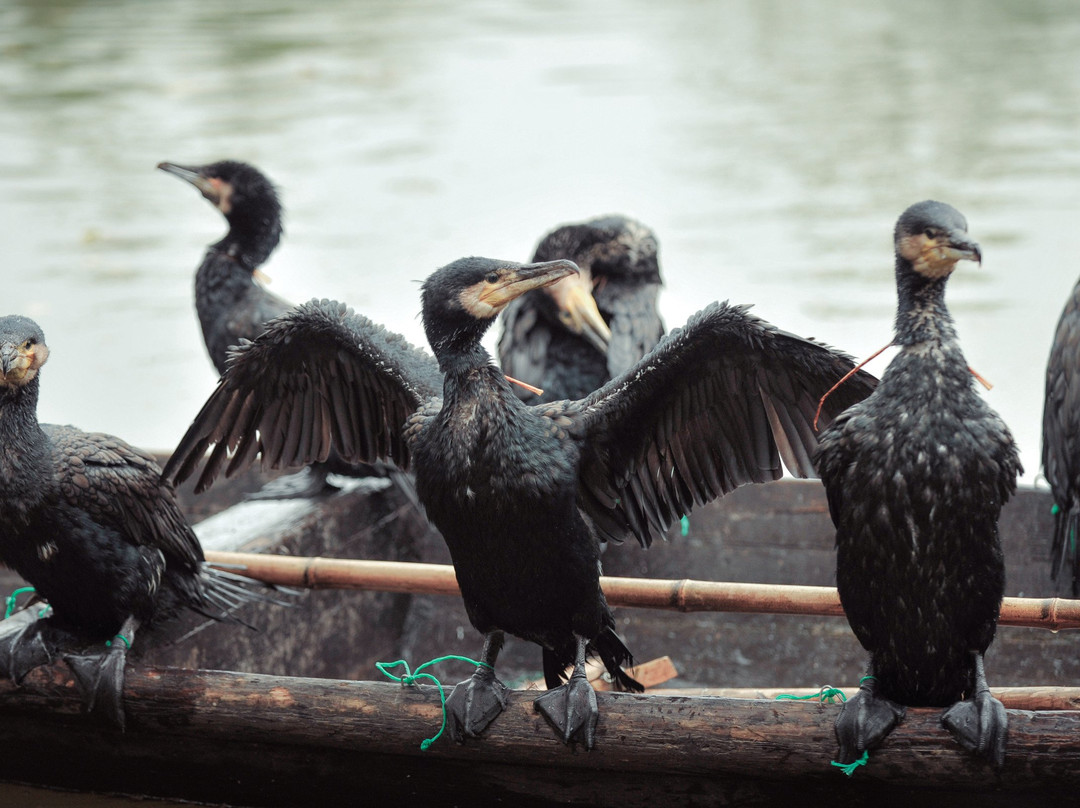 游遍杭州-杭州市必去景点