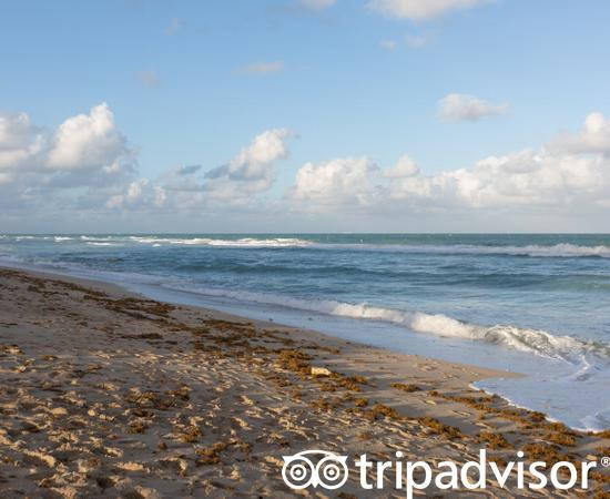 Four Seasons Hotel at The Surf Club, Surfside, Florida主图