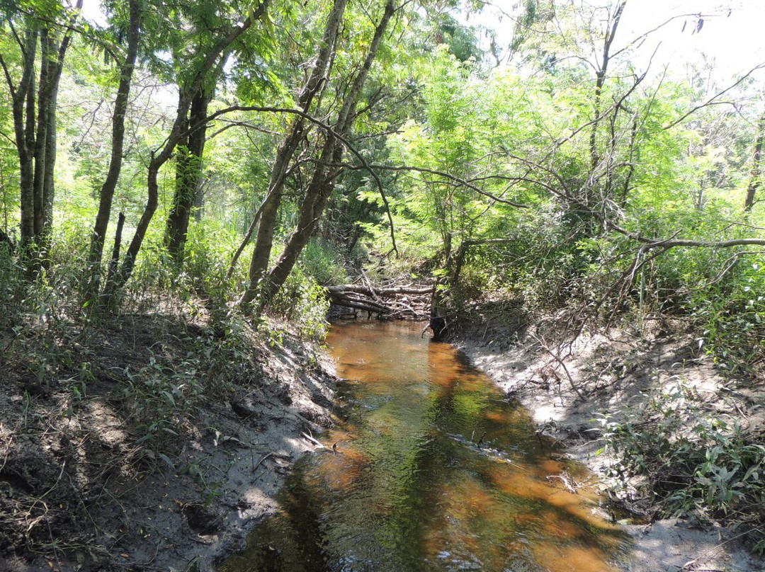 Reserva Natural del Pilar景点图片