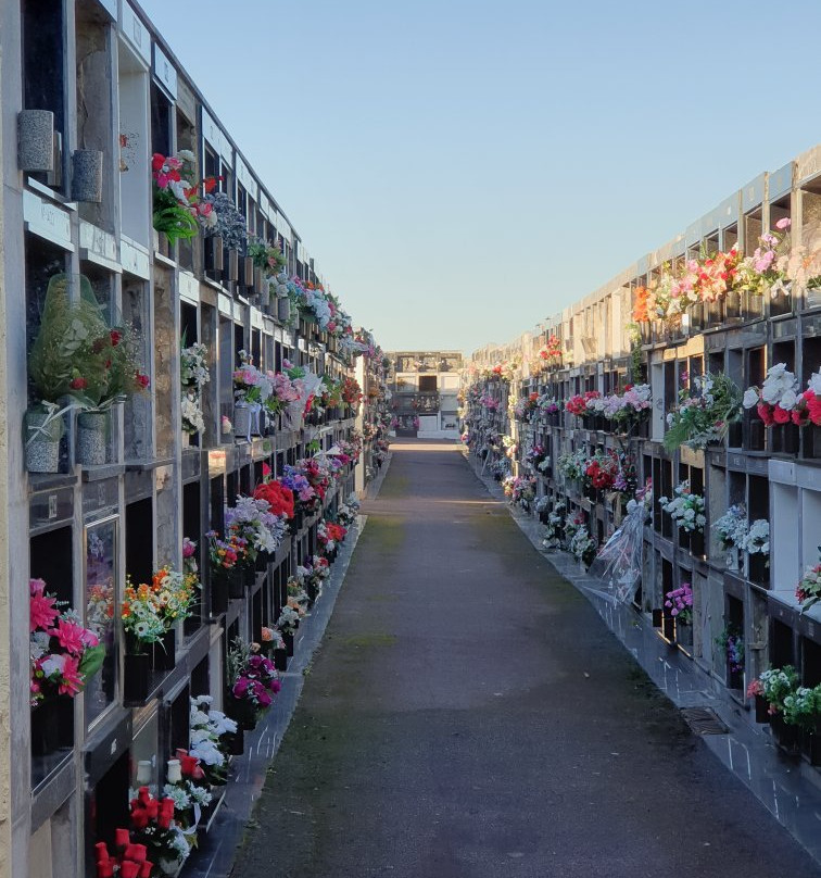 Cementerio de Ballena景点图片