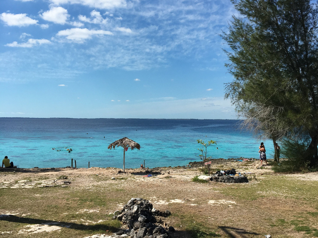 Casa Particular Coralia-Carlos主图