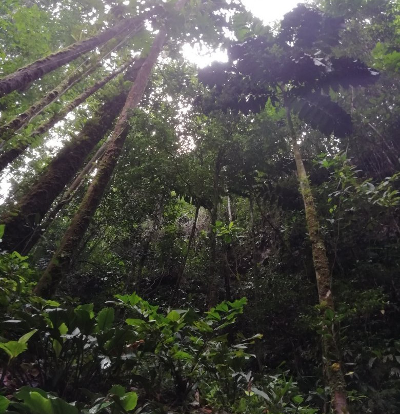 Reserva Natural El Danubio景点图片