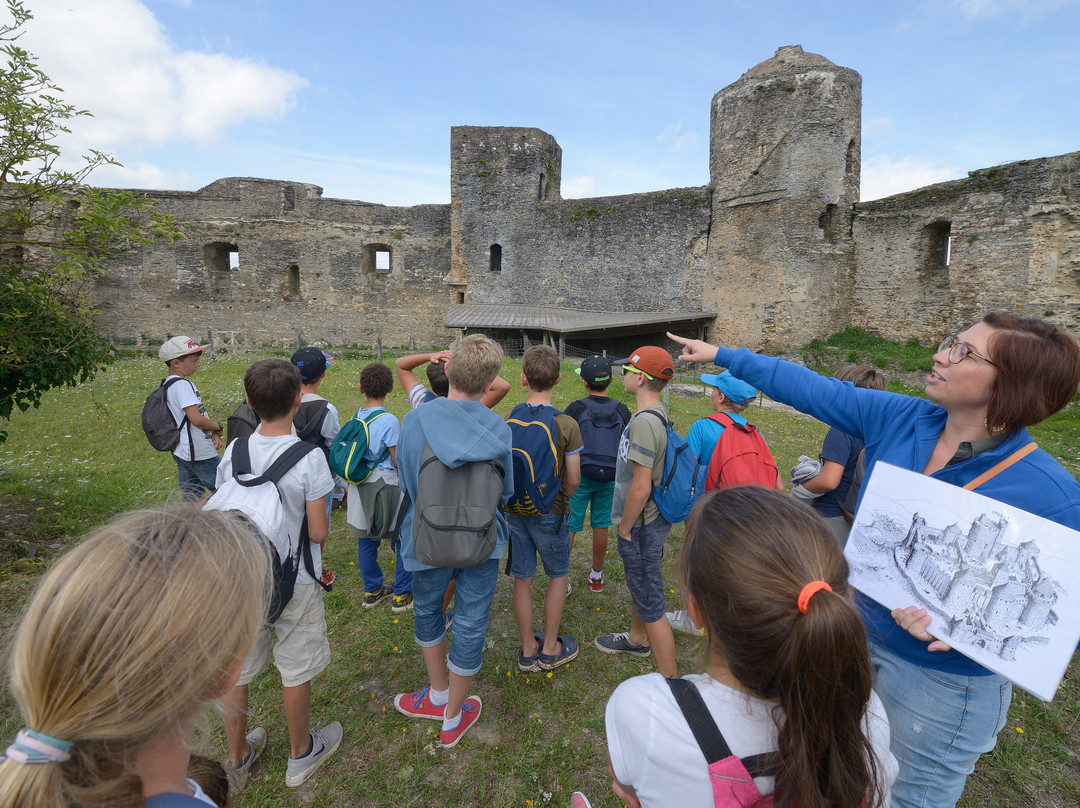Chateau Medieval de Pouance景点图片