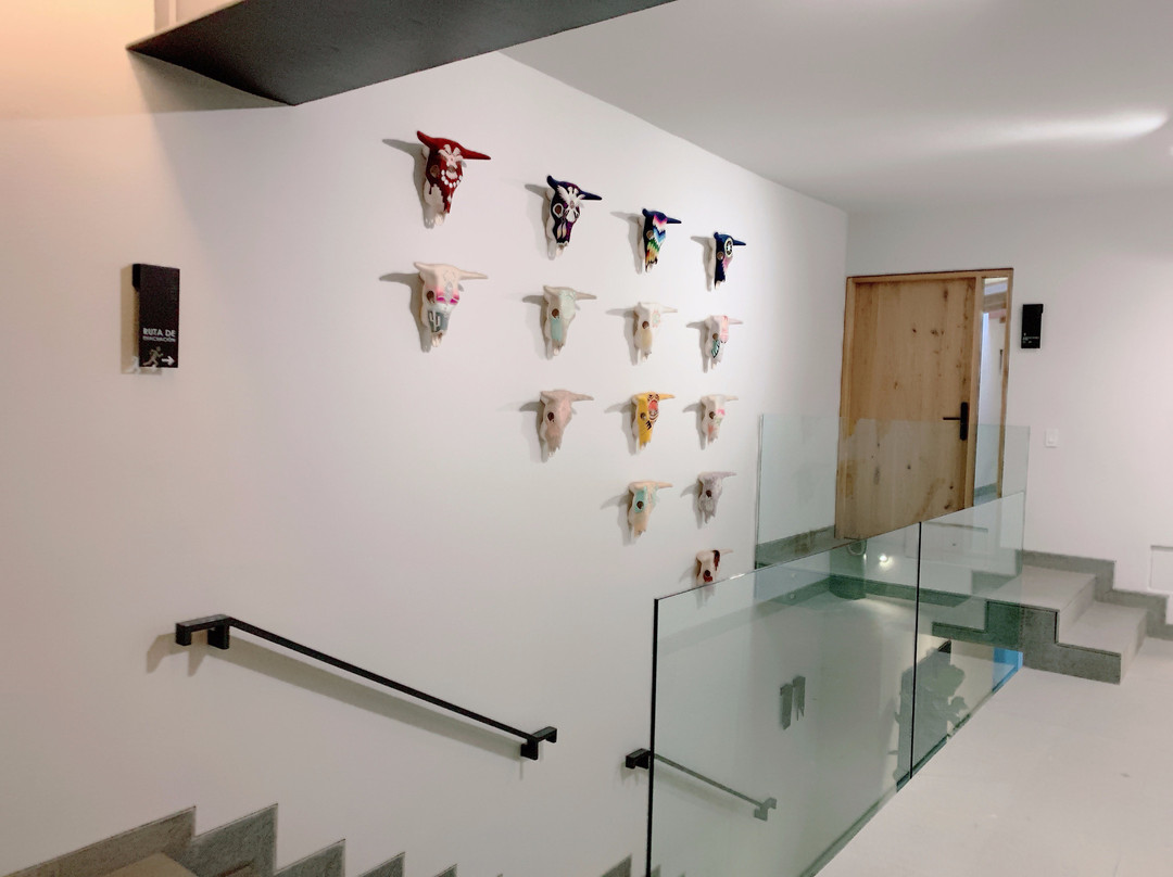 Cinco Rodavento主图