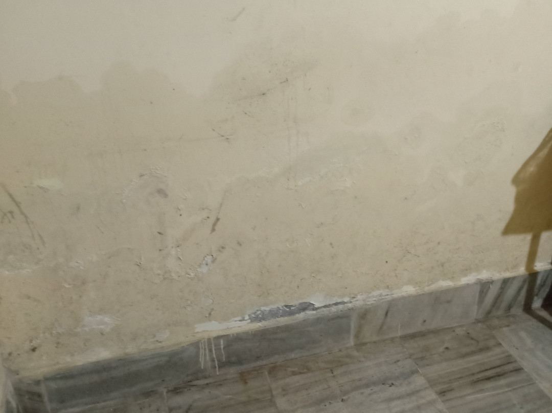 SPOT ON 63326 Virat Home Stay主图