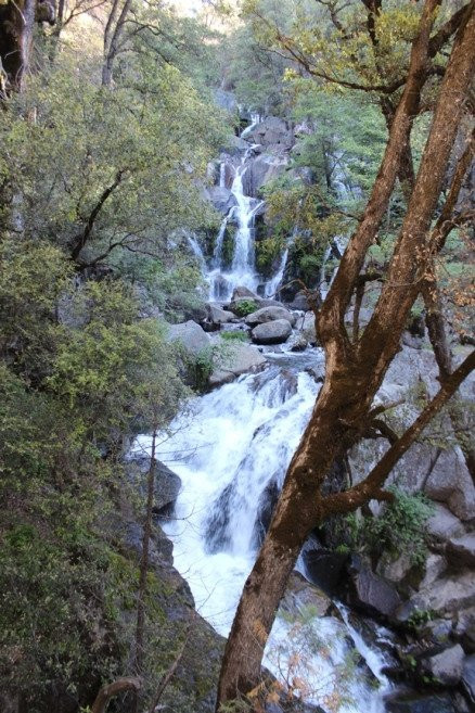 Lewis Creek Trail景点图片