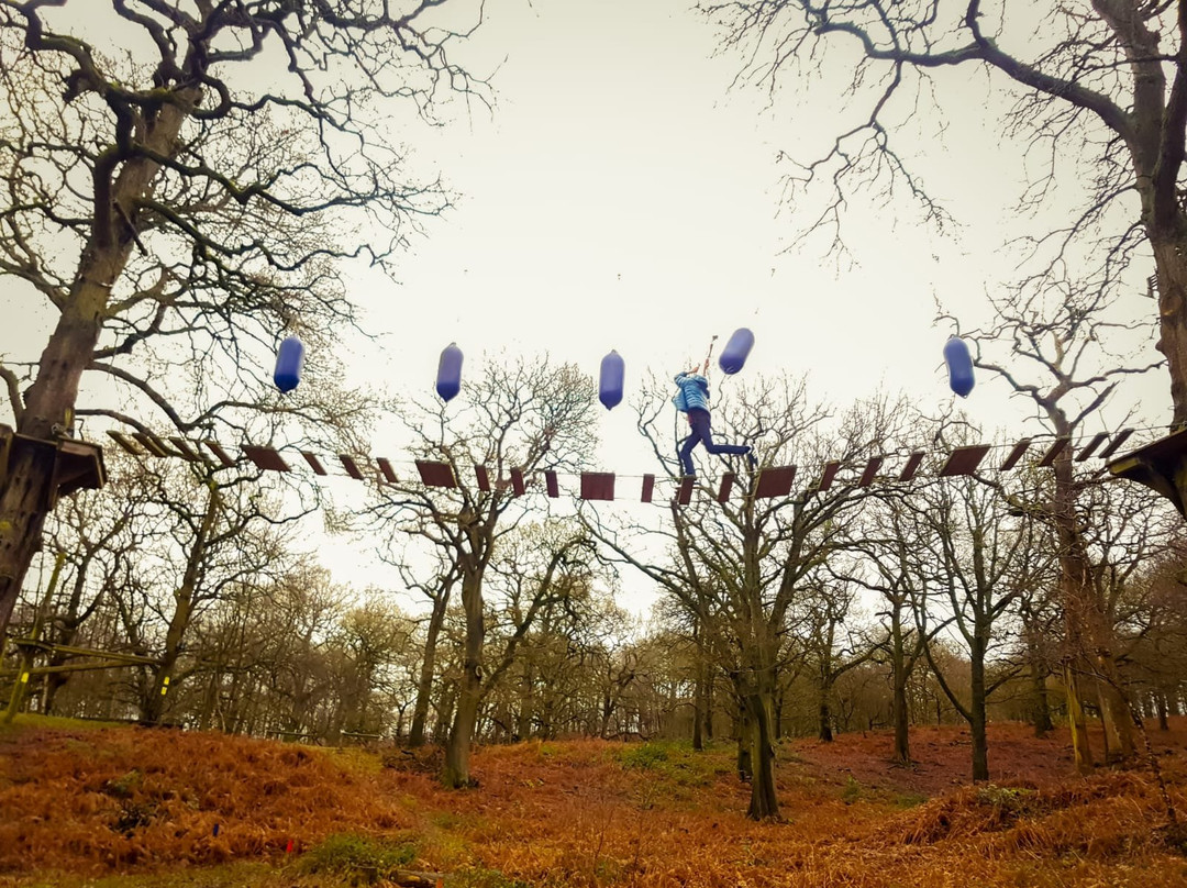 Trentham Treetop Adventures景点图片