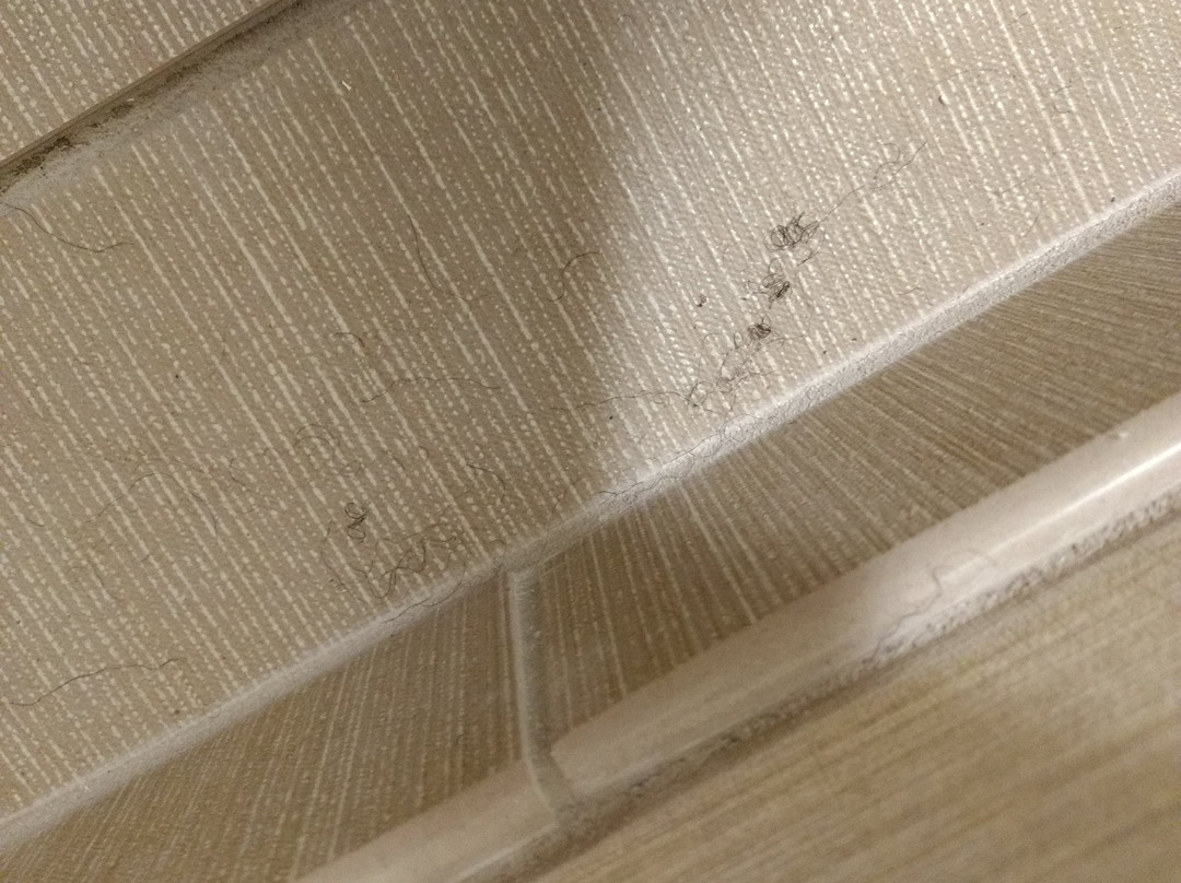 Comfort Inn Virginia Horse Center主图