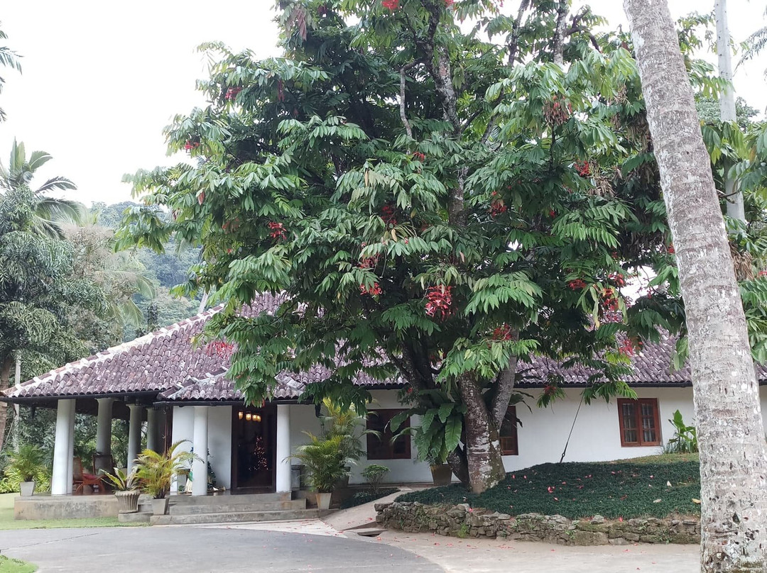 Athulya Villas主图