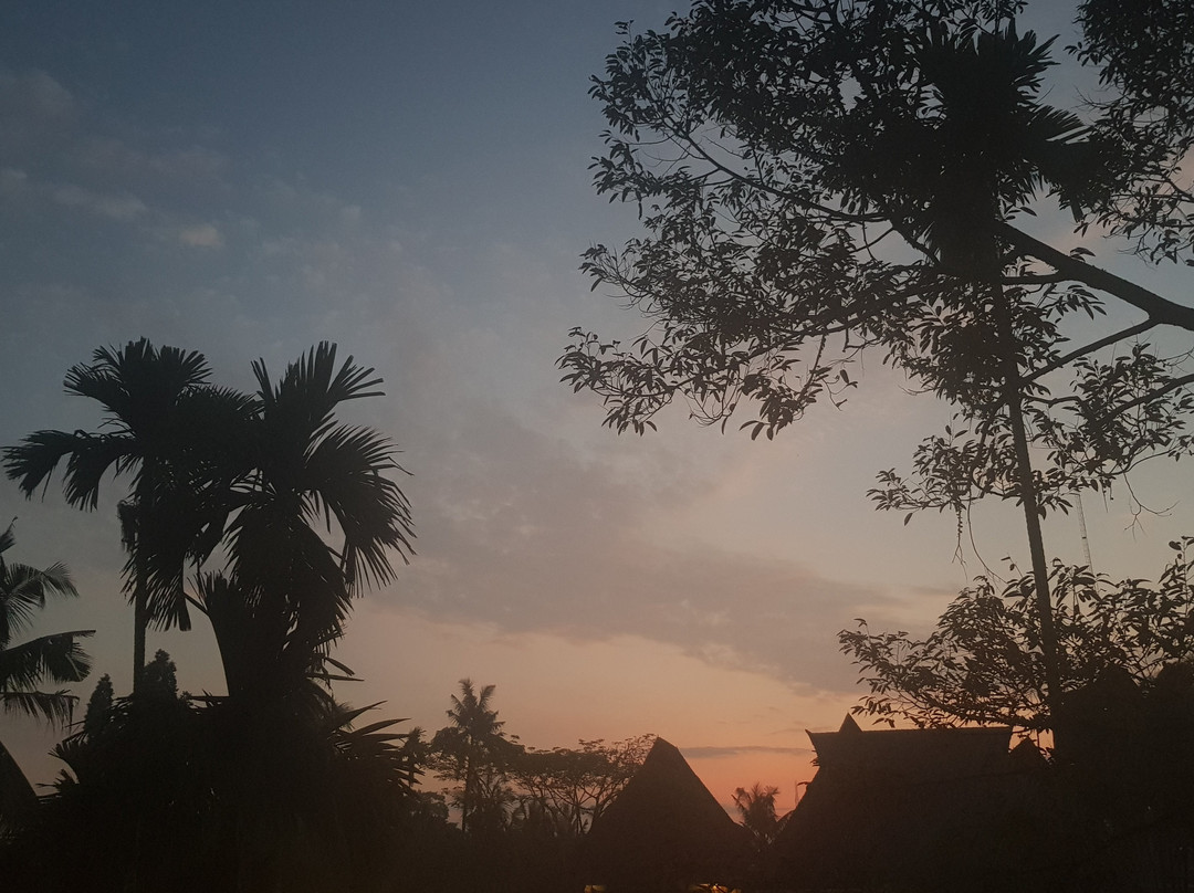 Hotel Deli River主图