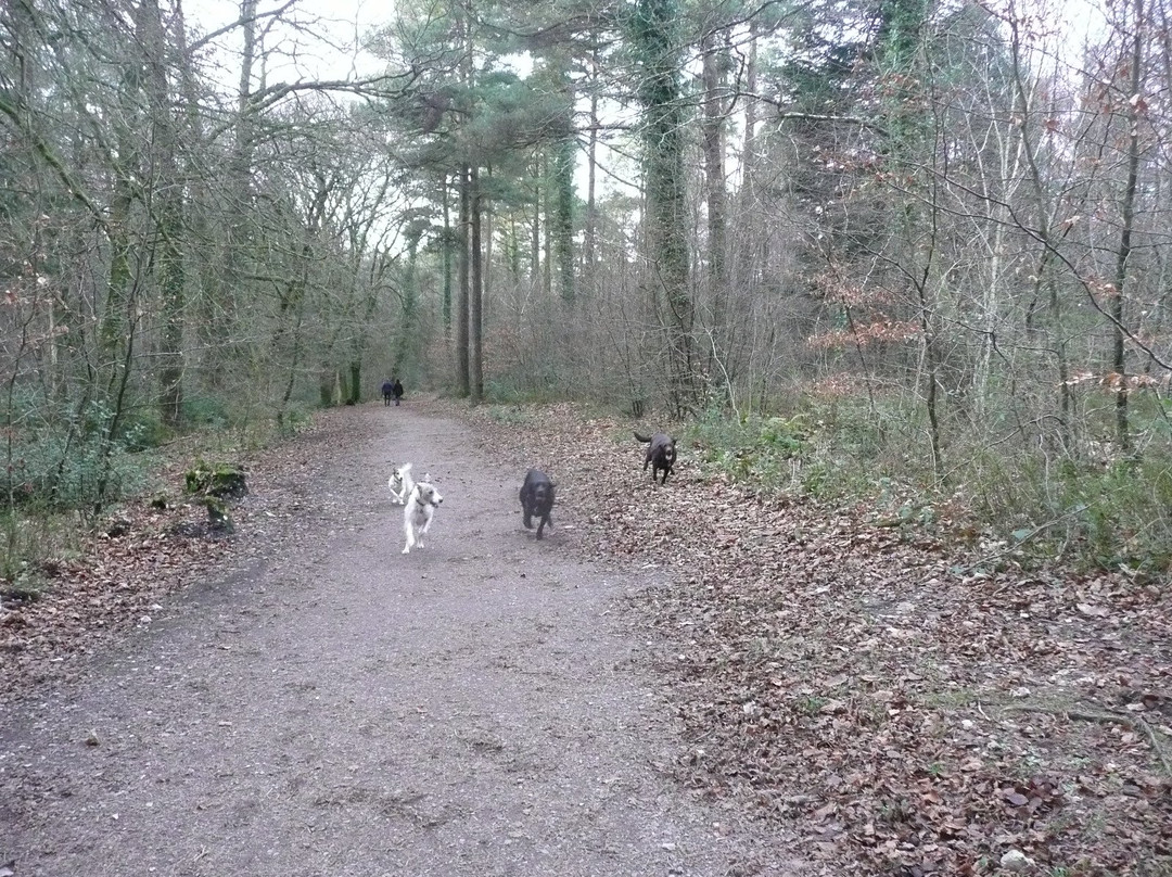 Mamhead-道利什必去景点