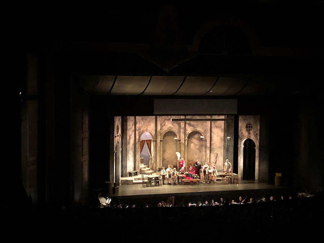 Martin Marietta Center for the Performing Arts-罗利必去景点