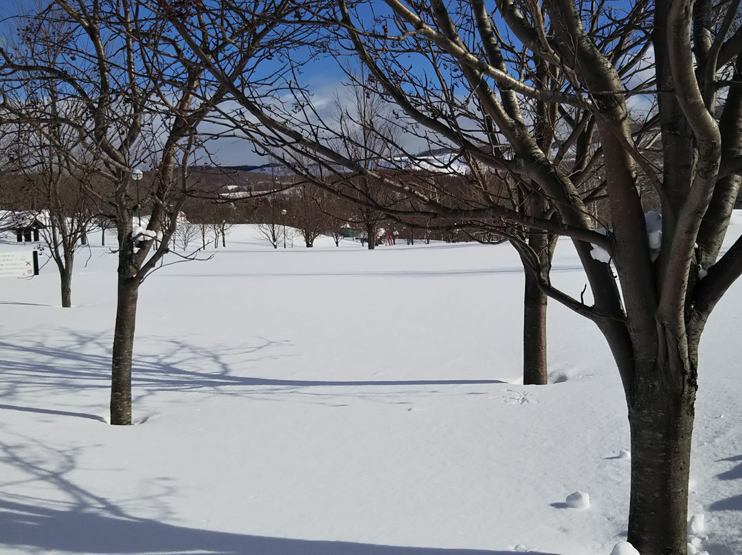 Rusutsu Furusato Park景点图片