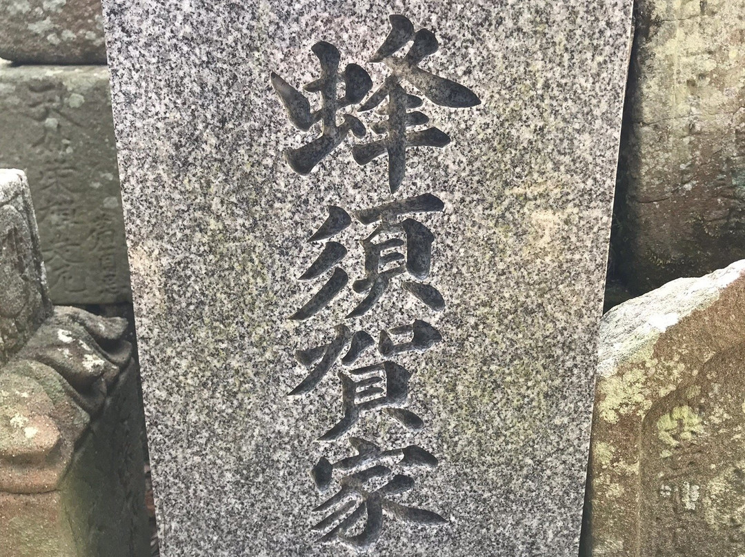 Tatsue-ji Temple Tahoto-小松岛市必去景点