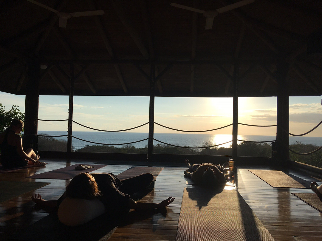 Horizon Yoga Center & Tea House-圣特雷莎必去景点