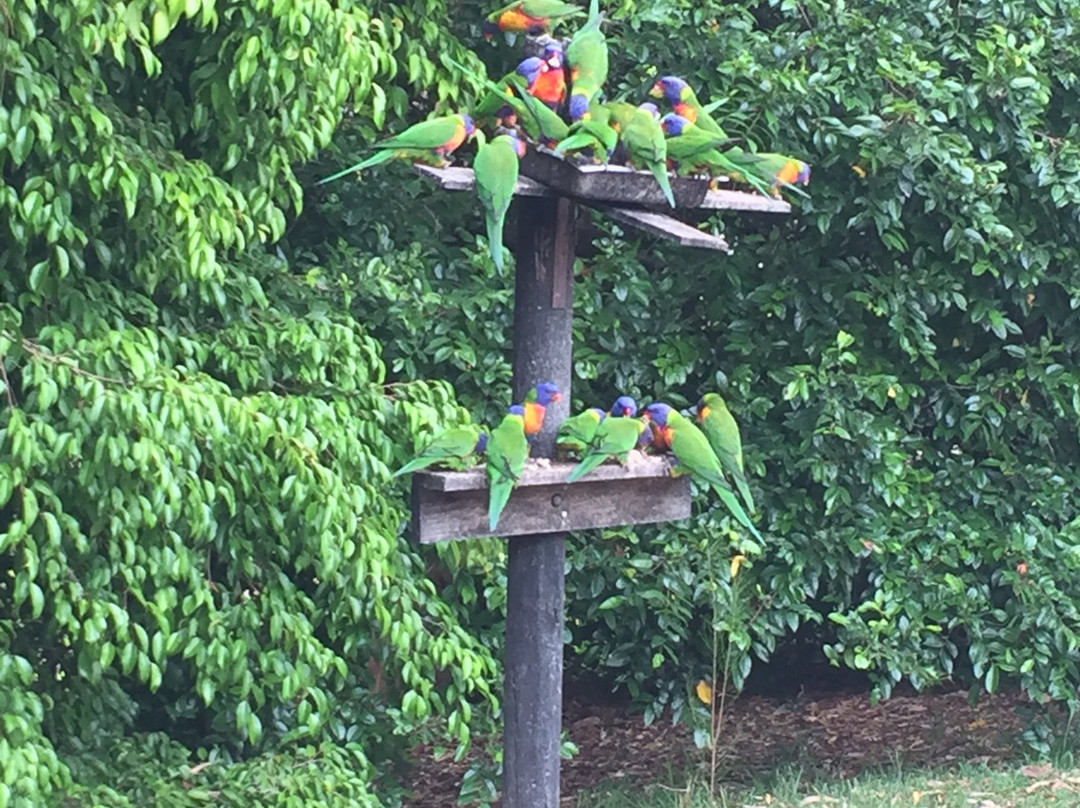 阿曲亚吉汽车旅馆主图