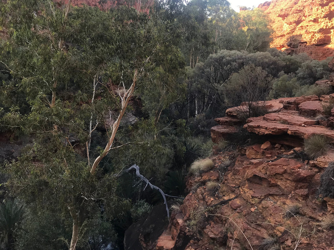 Kings Canyon Tour - ATT kings-邦迪必去景点