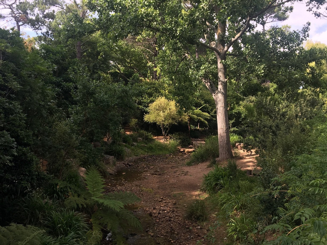 Liesbeek River Trail景点图片