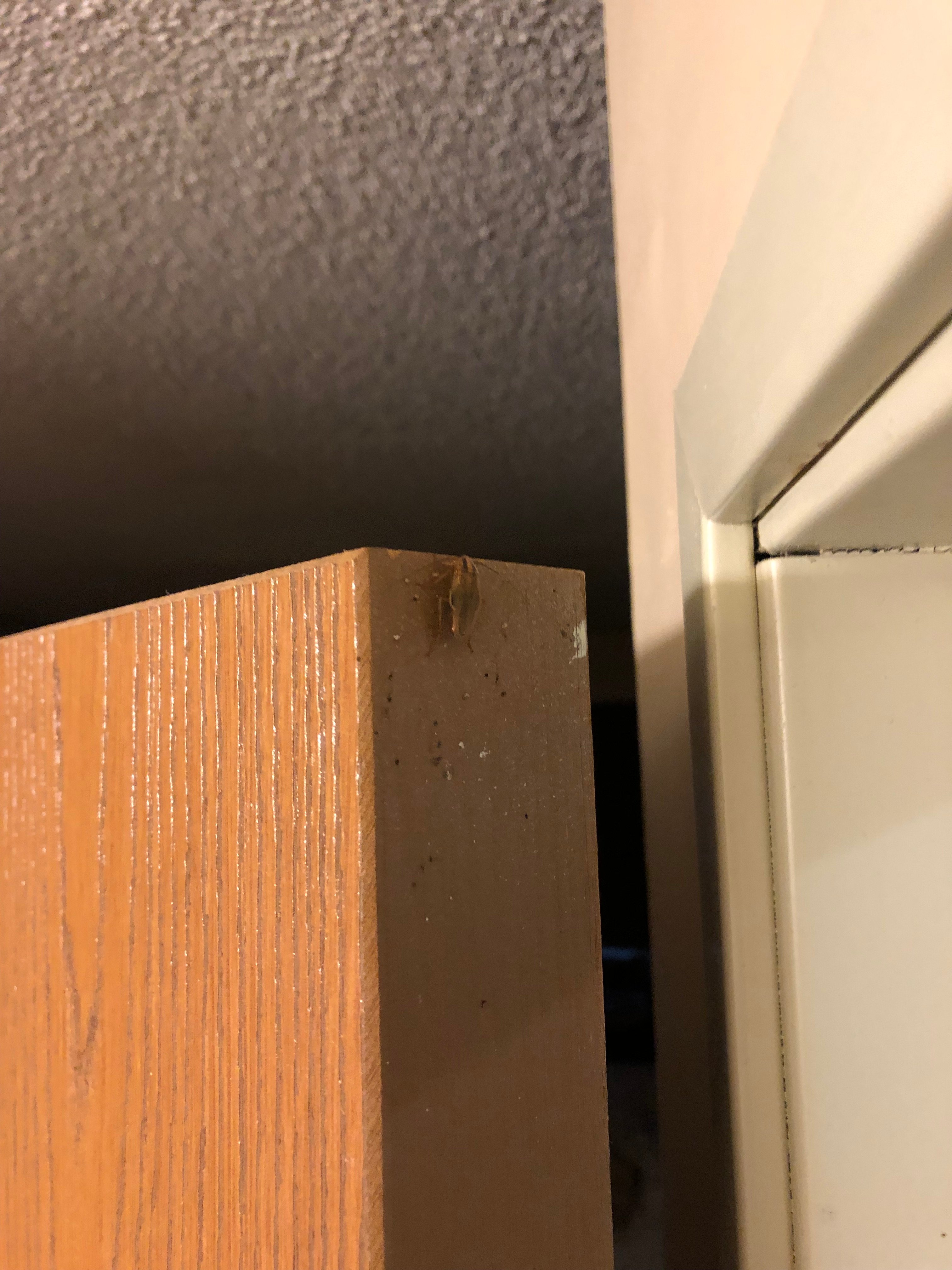 格尼呗盟套房酒店-浴室