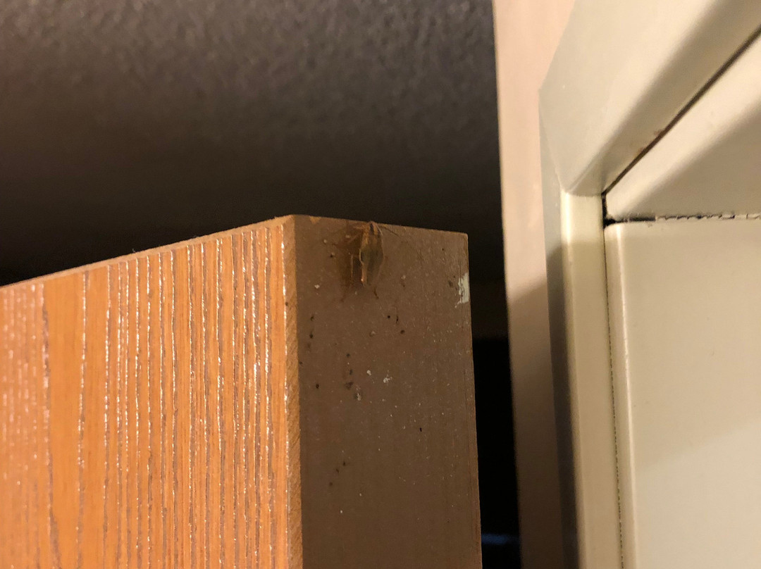 Baymont by Wyndham Gurnee主图