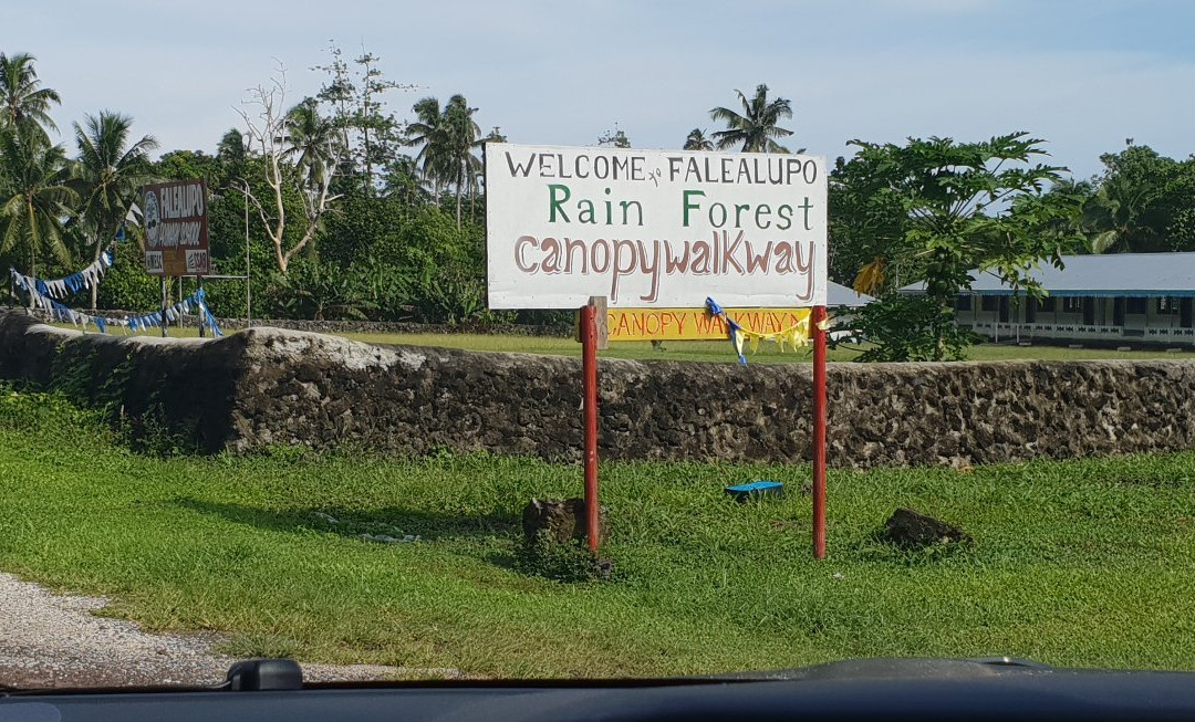 Falealupo Canopy Walk景点图片