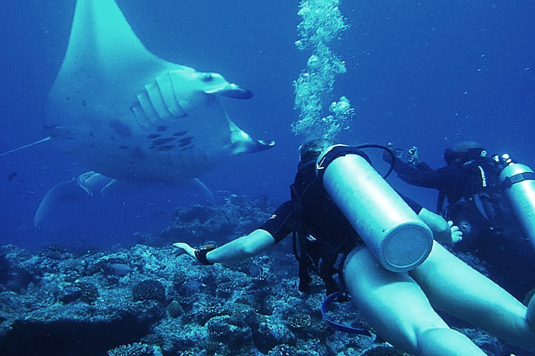 Atoll Scuba-Bodufolhudhoo必去景点
