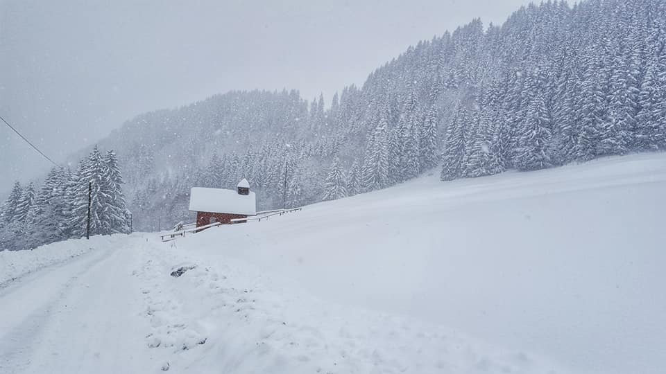 Hotel Alpenhof Reuterwanne主图