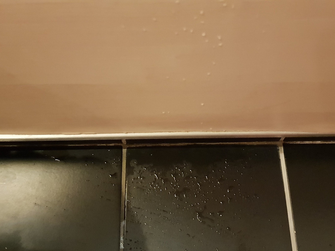 皮尔公牛酒店主图