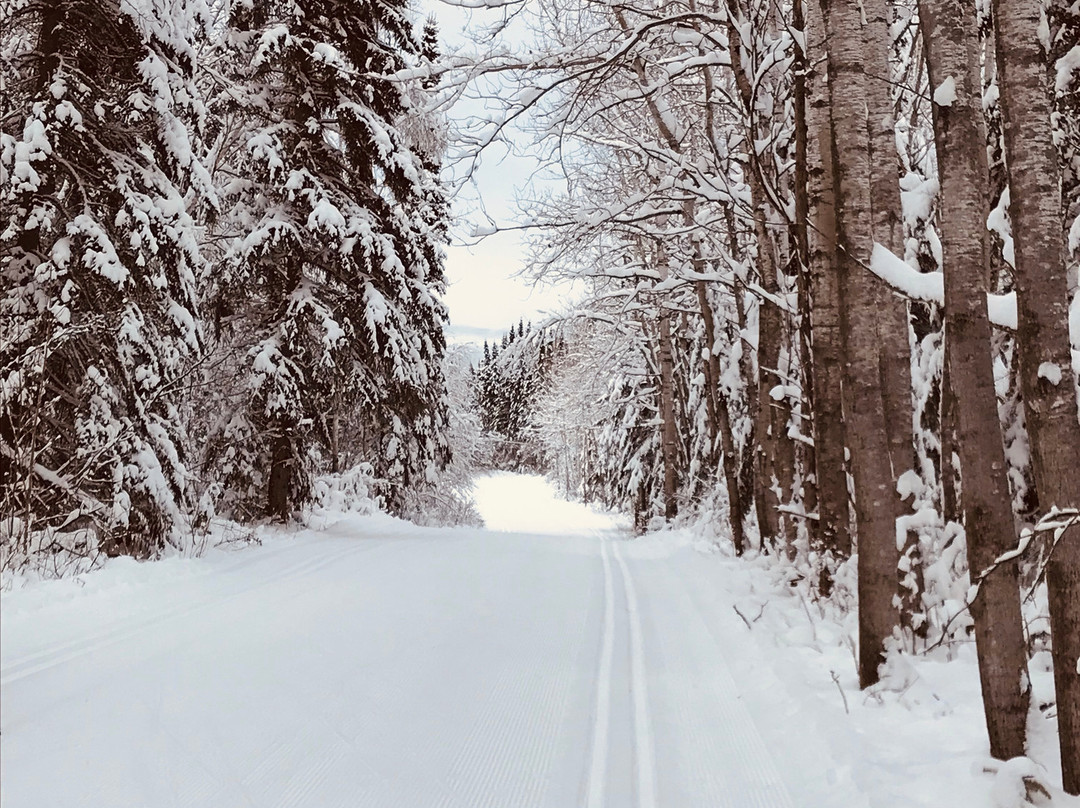 Kamview Nordic Ski Centre景点图片