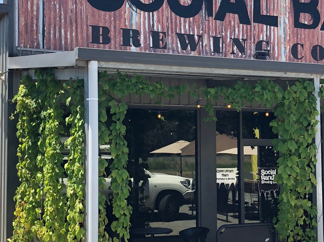 Social Bandit Brewing Co-曼斯菲尔德必去景点