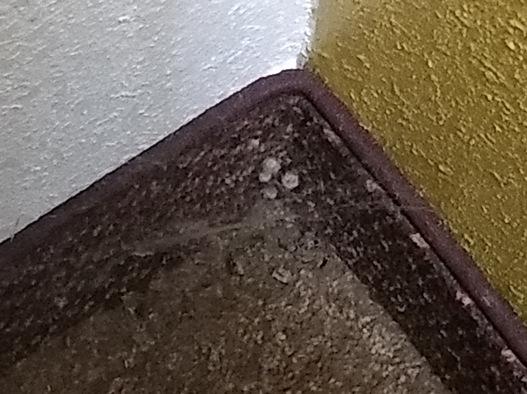 Knights Inn West Memphis主图