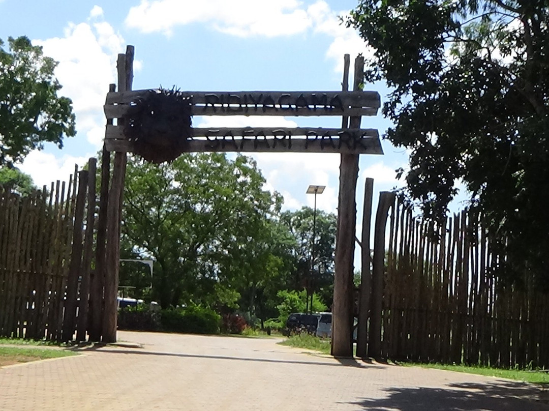 Ridiyagama Safari Park景点图片